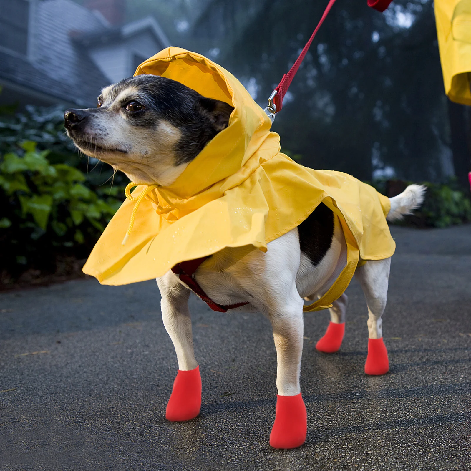 

4 Pcs Waterproof Shoe Covers Pet Rain Boots Dog Shoes Puppy for Small Dogs