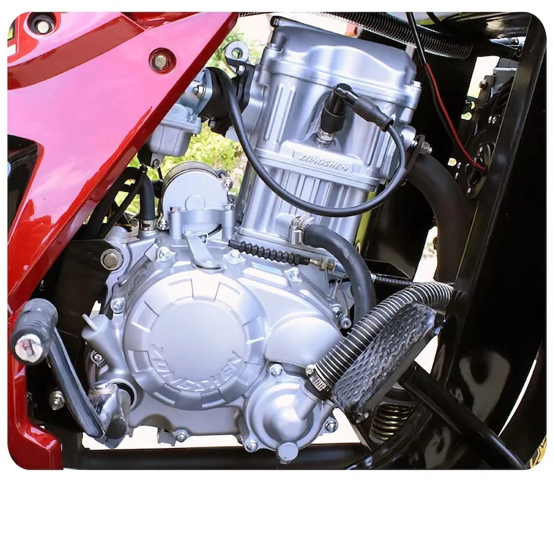 Scooter Tricycle gasoline Car Mini Car gasoline Vehicle Three Wheel