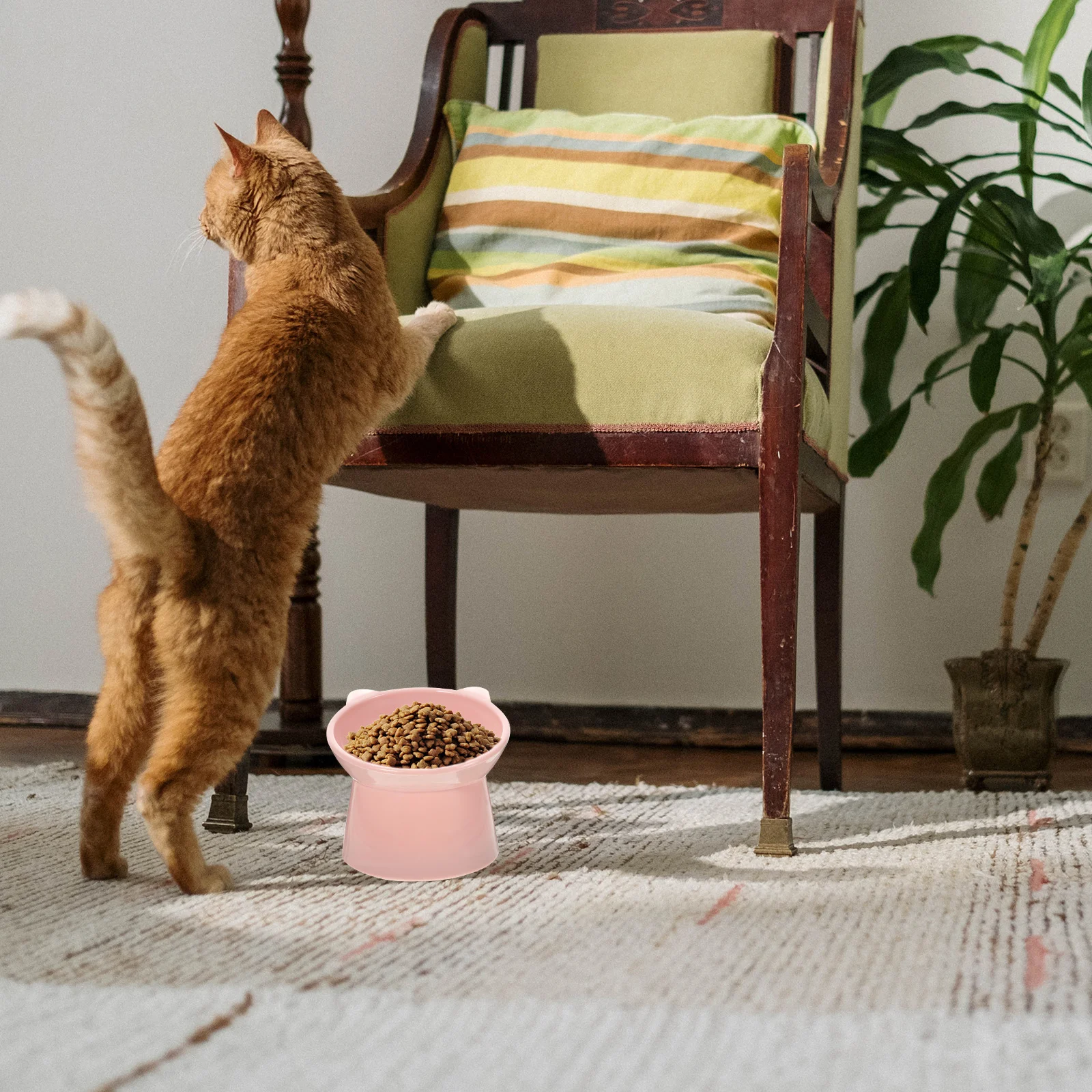 

Raised Pet Food Bowl Elevated Cat Bowl with Non-Slip Base Tilted Design for Easy Feeding and Clean Floor Ideal Gift for Pets