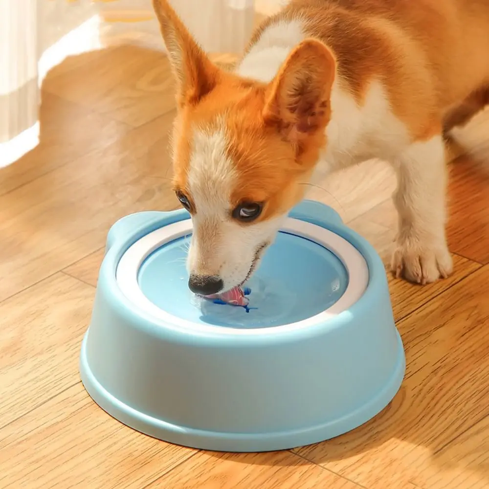 Plastic Dog Drinking Water Bowl 1000ml Without Spill Cat Bowl Anti Choking Anti Overturning Pet Water Feeding Dispenser