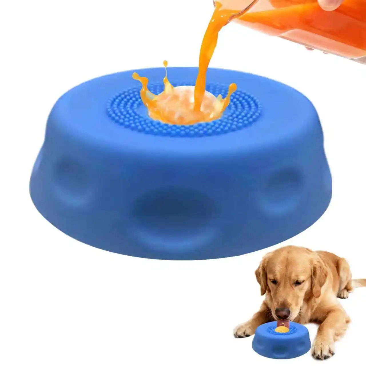#32 Latest Slow Dog Feeder Bowls Offers