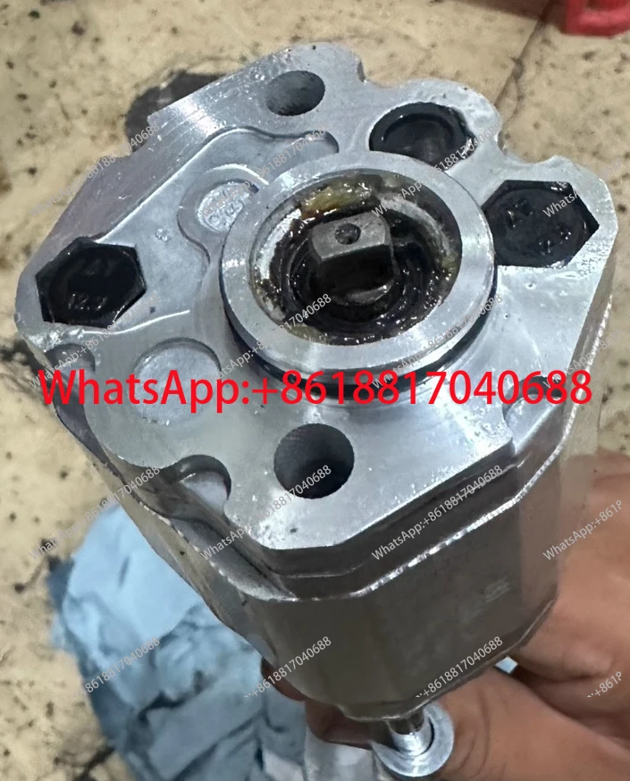 مضخة التروس CBD-F203.7L1BL-BA/F204.2/F202.1/205.8L1B-BA