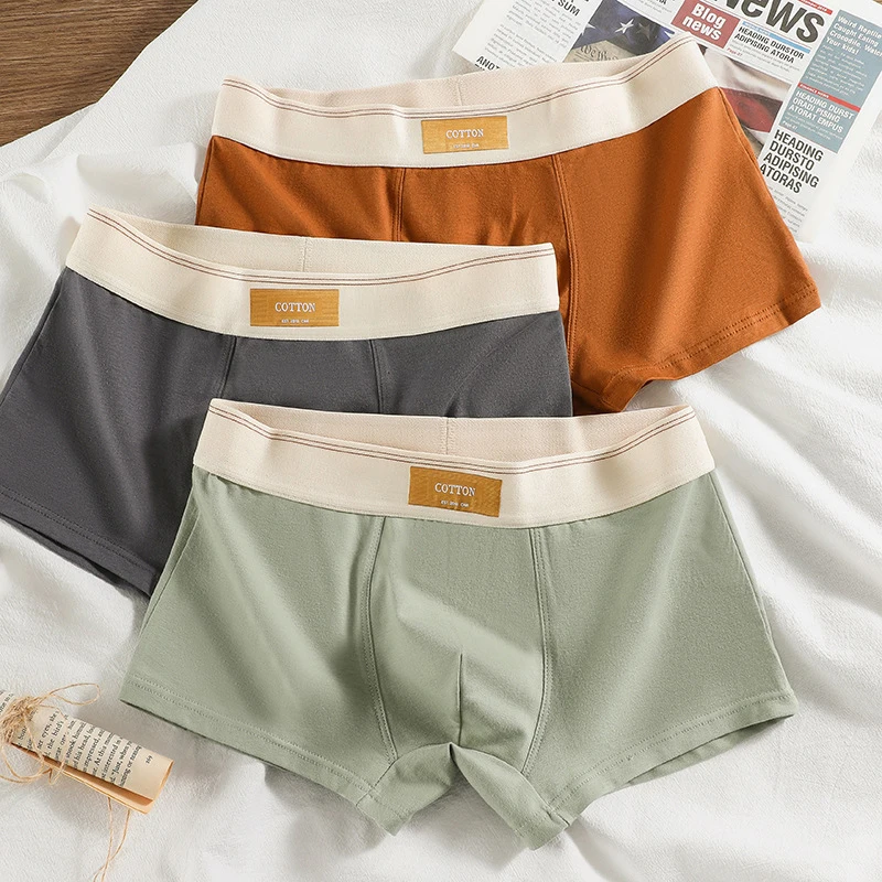 We.Fine-Calzoncillos de algodón para hombre, ropa interior transpirable, Sexy, cómoda, de Color sólido, 3 piezas, 2024