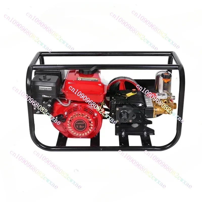 Four-stroke Gasoline High Pressure Sprayer Agricultural Orchard Sprayer Triple Cylinder Plunger Pump Sprayer