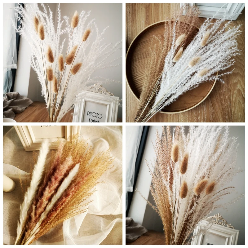 

30pcs Pampas Grass Natural Brown & White Bunny Tails Dried Flowers Wedding Floral Arrangement Fluffy Pompas Boho Home Decor