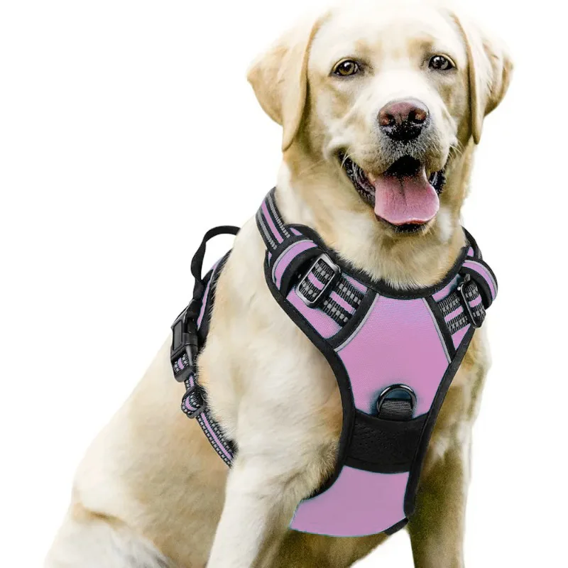 

Dog leash pet chest back nylon dog leash large dog chest harness pet supplies factory wholesale