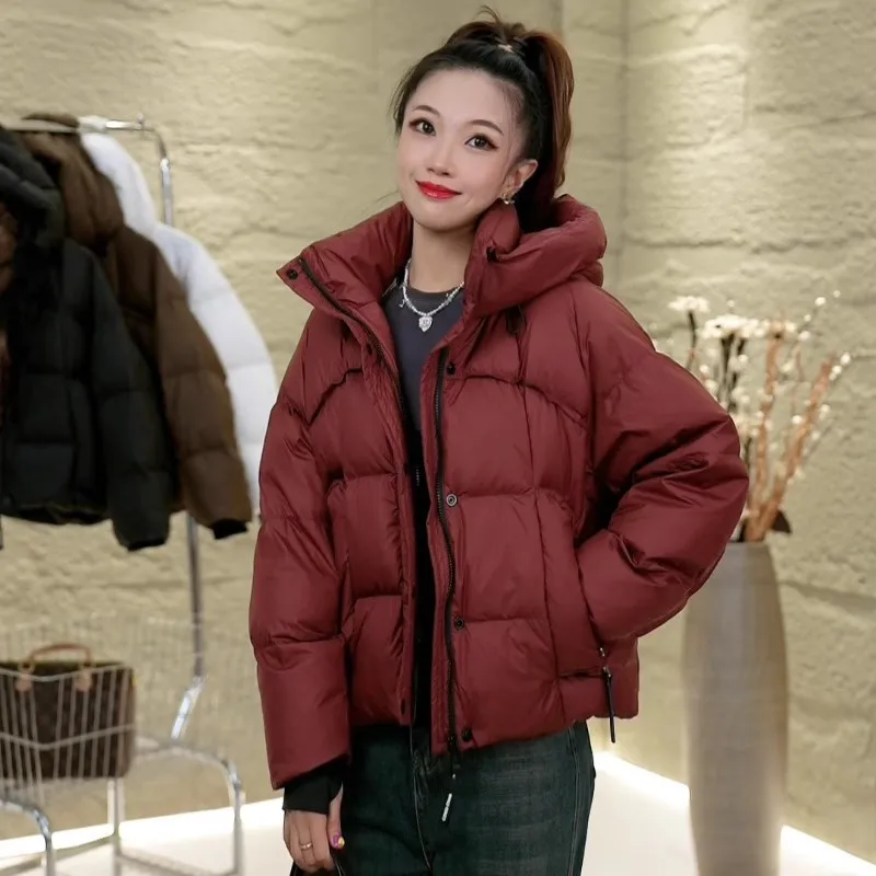 

2025 New Fashion Women's Casual Trendy Loose Simple Basic Stand Collar Long Sleeve Hooded Quilted Coats Female Clothes Parkas