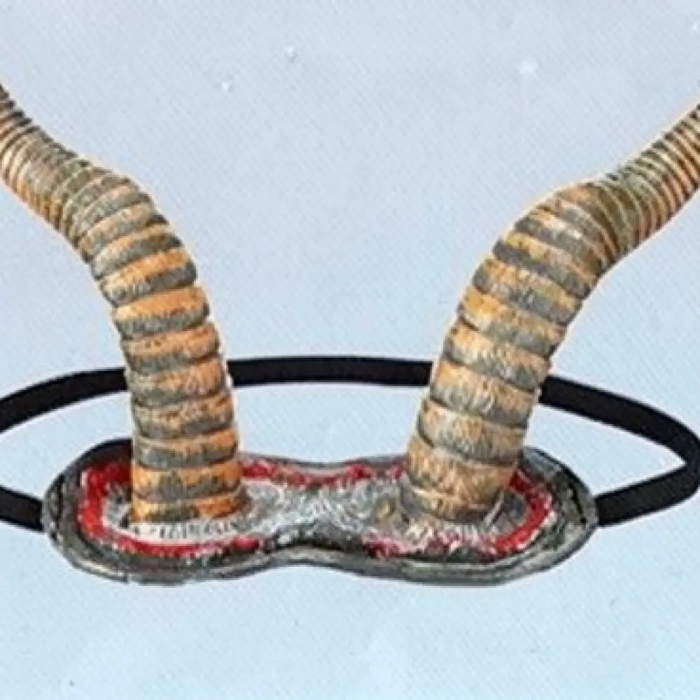 Viking Horn Hair Hoop Halloween Cosplay Costume Accessory Skull Motif Masquerade Party Prop Witch Headpiece Decor