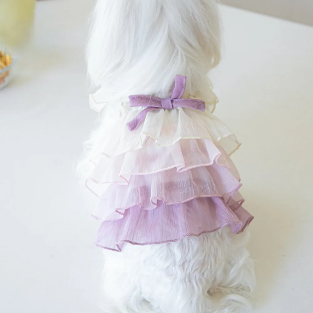 Pet Color Gradient Cake Skirt Pet Cat Dog Teddy Skirt Cute Sling Dress Fashion Pet Clothing Puppy Clothes Dog Clothes Designer