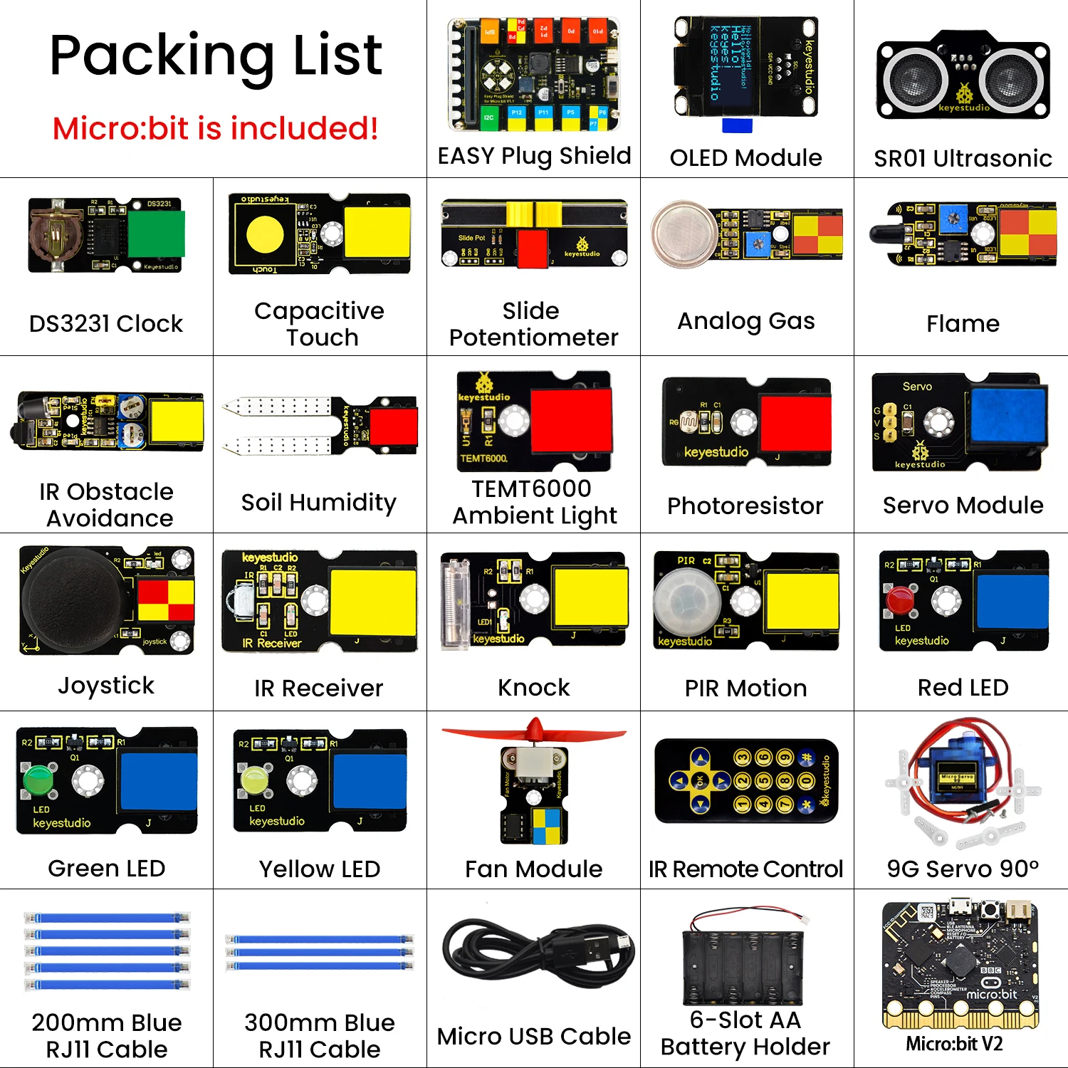 Variant: With Microbit V2