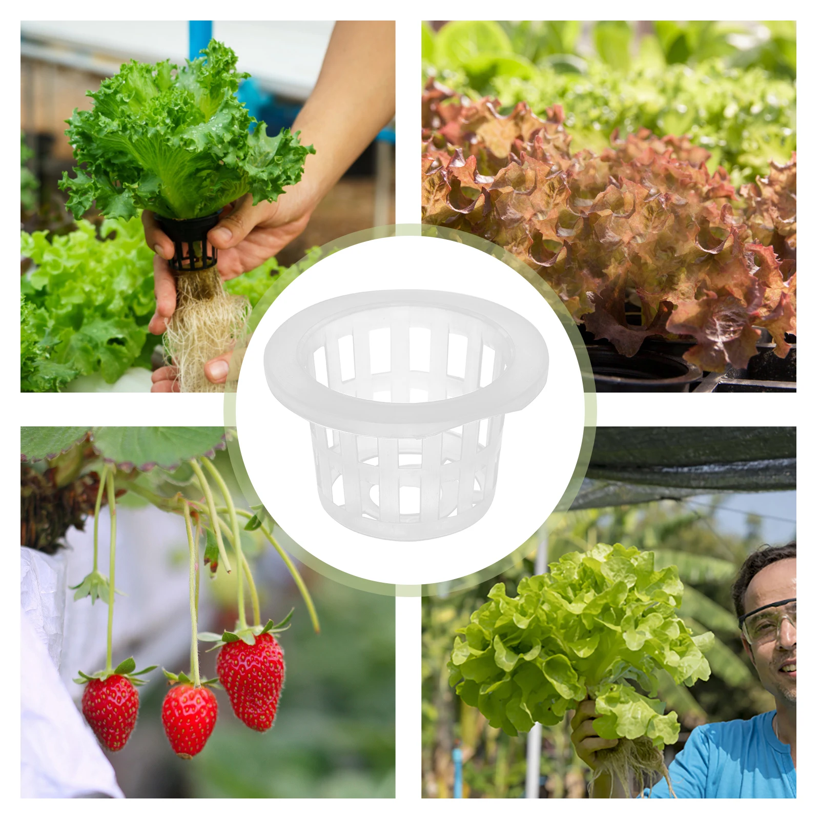 

50 Pcs Garden Mesh Net Pots Hydroponic Planting Basket Slotted Hydroponics Plastic Container