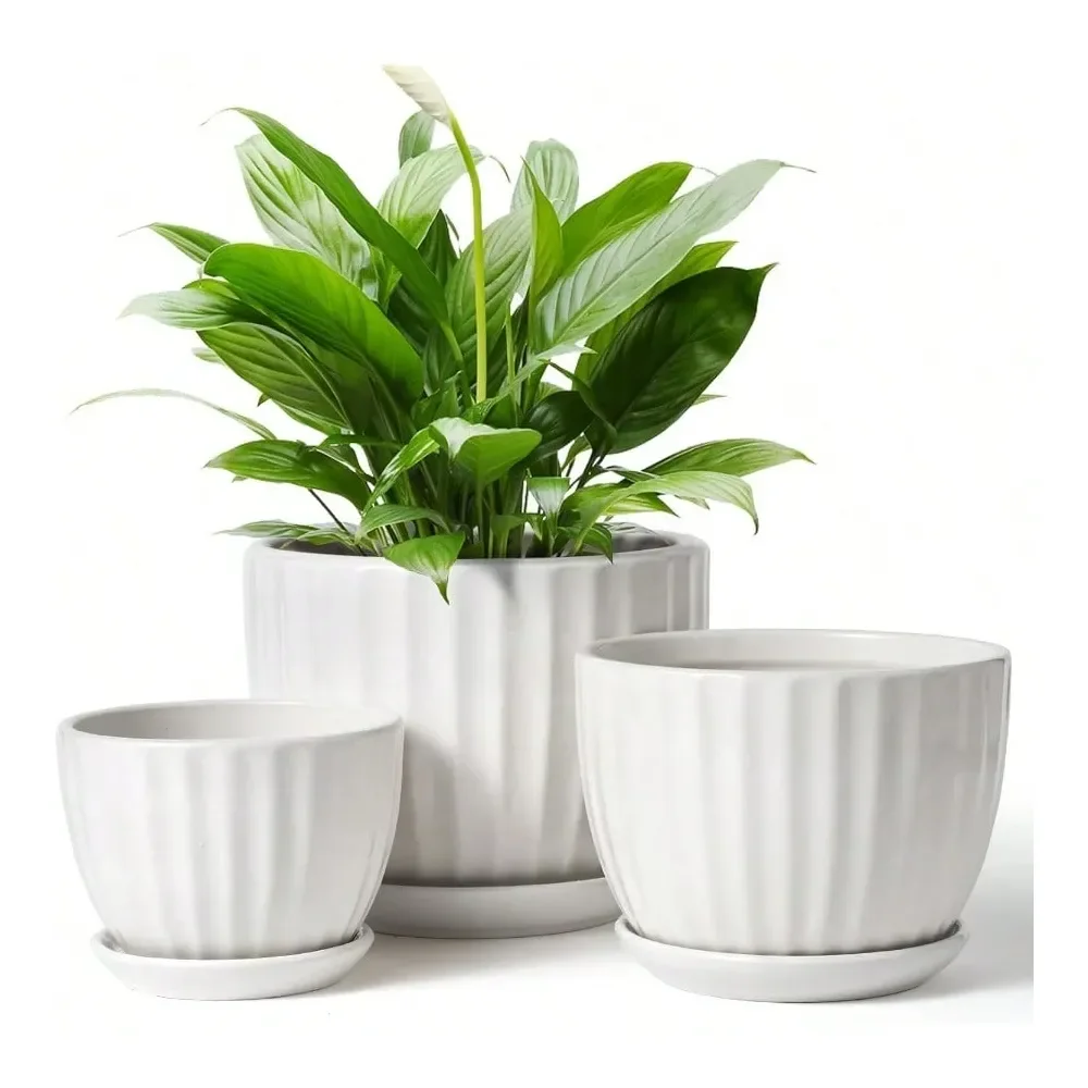

4 5 6 Inches Ceramic Plant Pots With Drainage Holes And Saucers Round Flower Pots For Indoor Plant Modern Flower Planters Set O