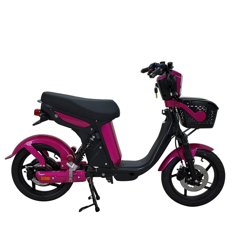 Electric Vehicle Brand New and High Quality 1200W 45km/h Electric Motorcycle Electric Bicycle image 6
