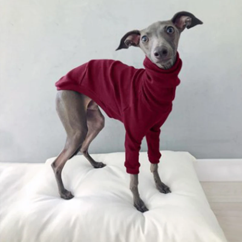 Abrigo de cuello alto de algodón para perros tipo galgo whippet_voghion.com