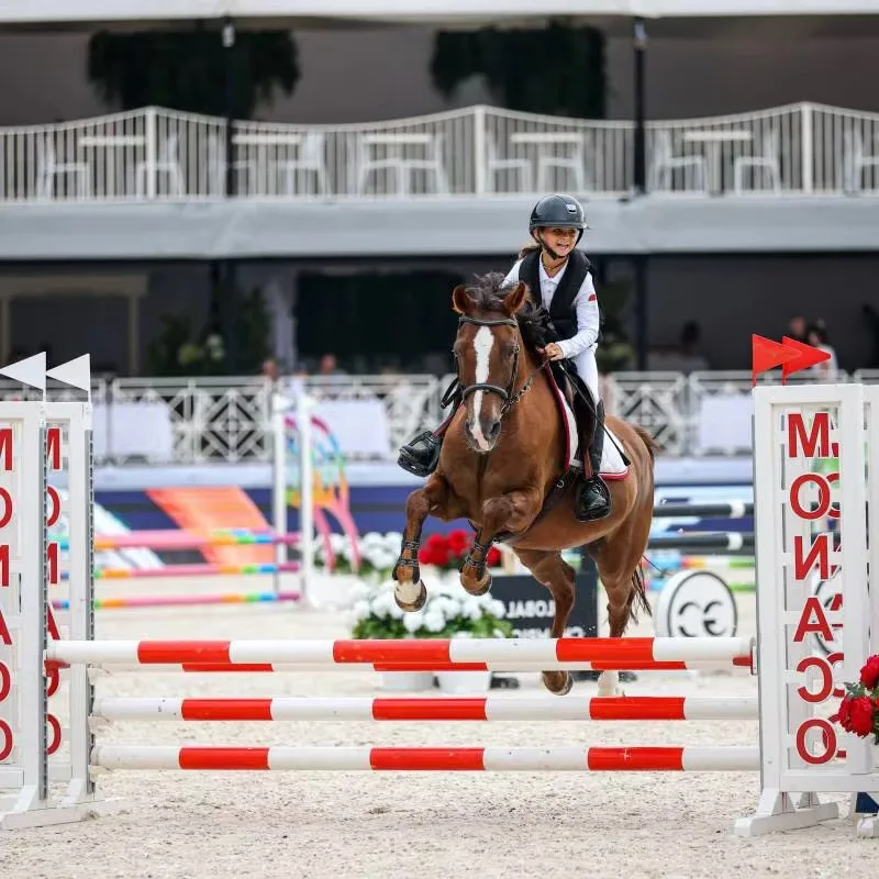 

Сверхмощное регулируемое оборудование для прыжков на лошадях для конных тренировок, грунтовых мероприятий, верховой езды и конкурентоспособных прыжков на лошадях