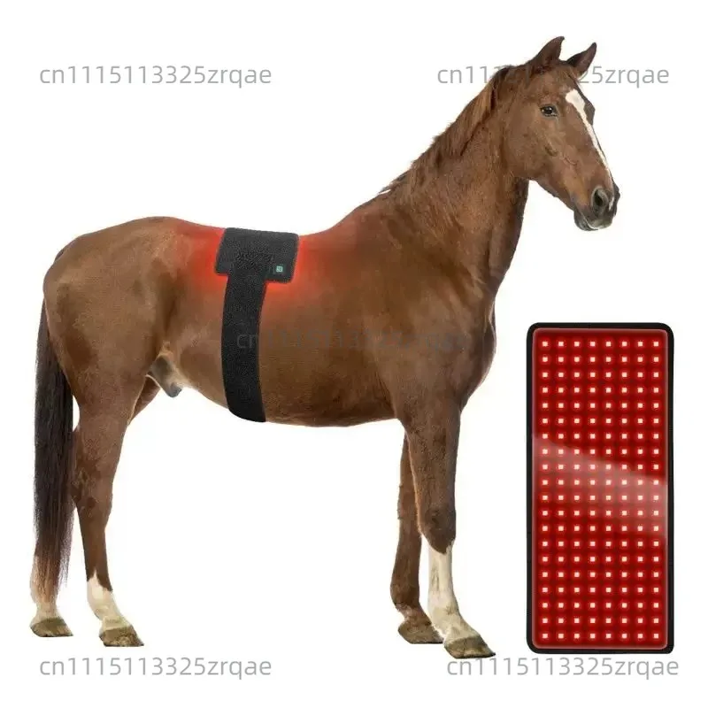 LED Red Infrared Light Therapy Led Lamp Mat Horse Leg Red Light Therapy Rug Pad For Pet Horse Back