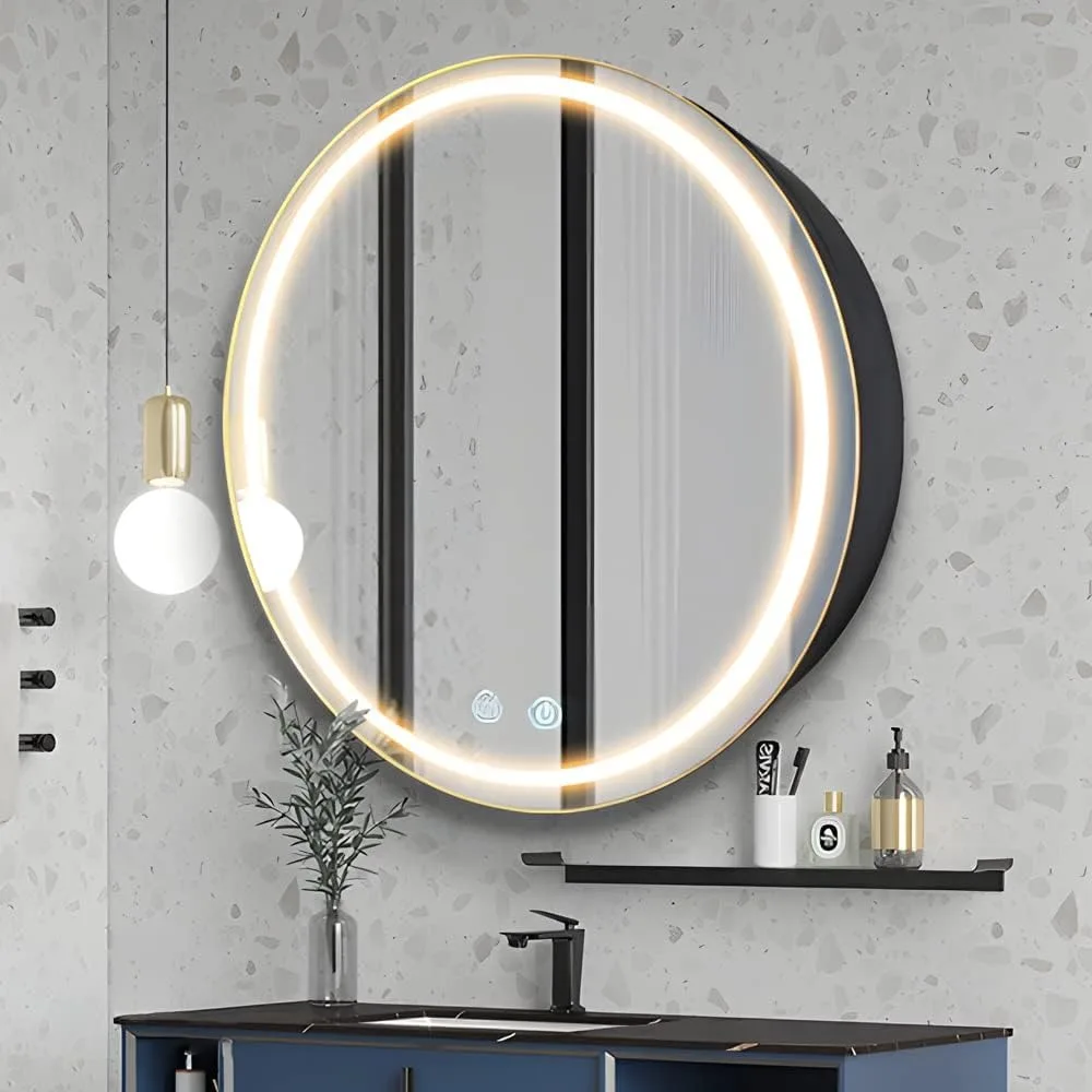 30 inch Round Medicine Cabinet with Lights,Led Medicine Cabinet with Defogger,Illuminated Mirror Cabinet