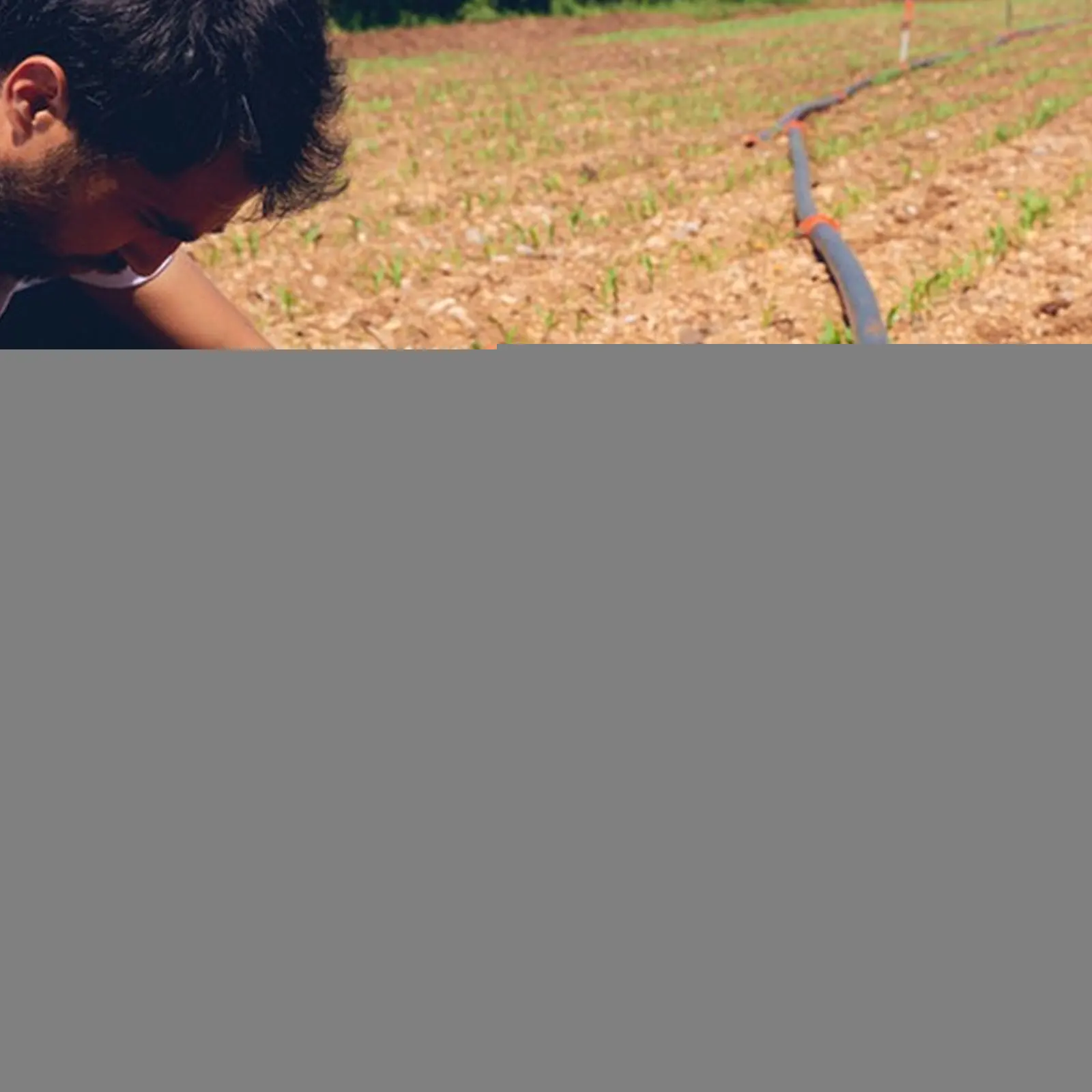 

Hose Hole Punch Drip Watering Irrigation Pipe Agriculture Accessory Flat Puncher