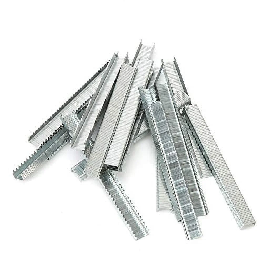 헤비 듀티 504IP T50 스테이플 1/4 인치 다리 길이 5000개 팩 아연 도금 강철 패스너 목공 프로젝트 및 목공 작업용