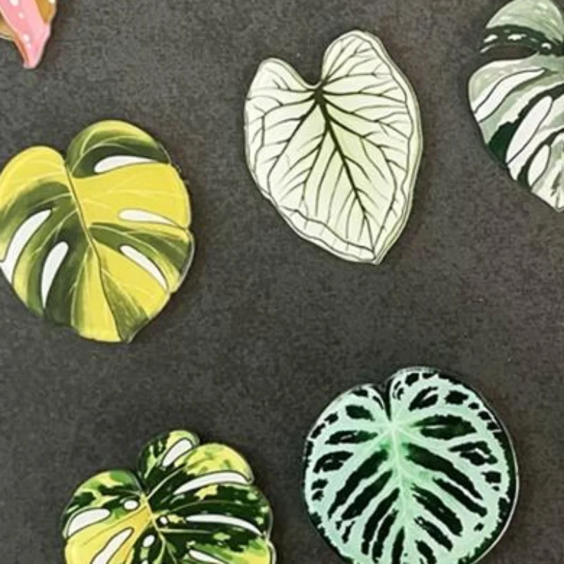 12Pcs Plant Themed Begonia Monstera Fridge Magnets Bright Artistic Print Cute Decor for Home Kitchen Refrigerator Gift