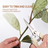 1pcs Garden Pruner Scissors Professional Orchard Garden Shears Stainless Steel Flower Arrangement Pruning Fruit Tree Scissors