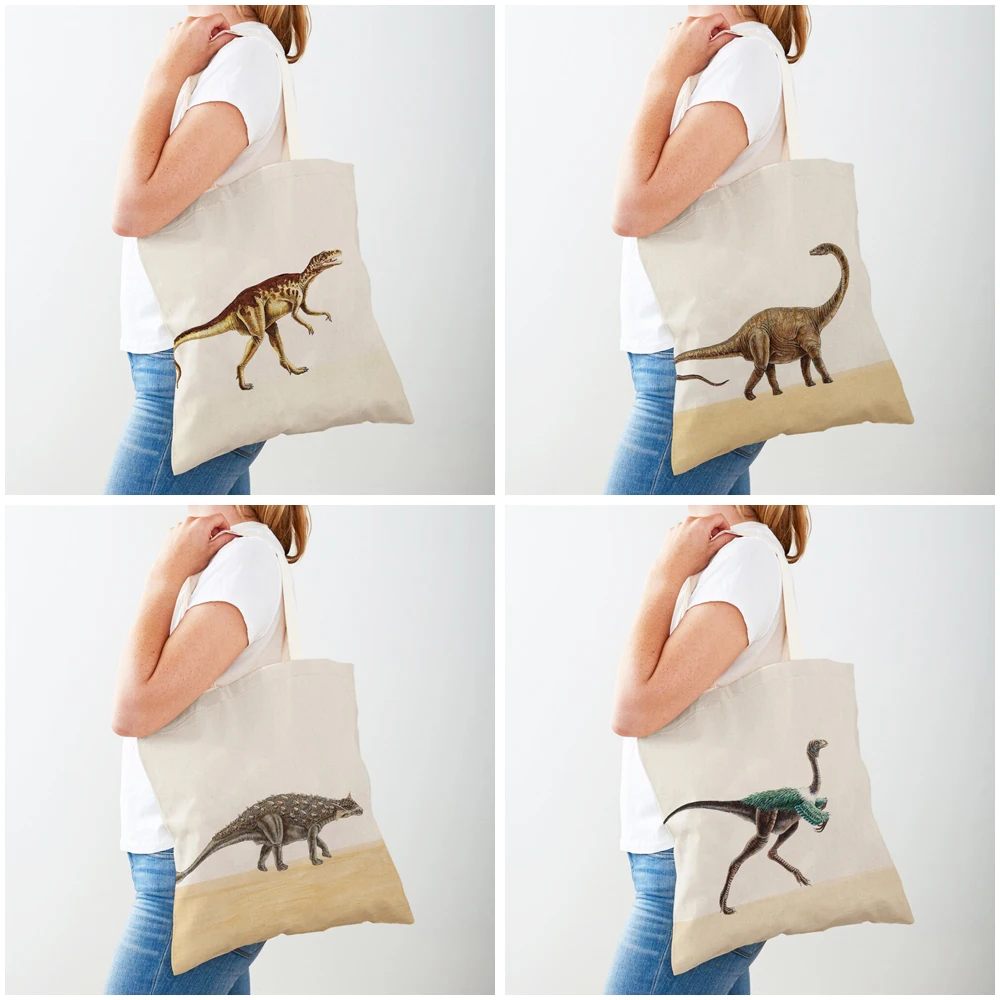 Bolsas de compras de dinosaurio Jurásico, bolso de viaje para niños de ambos lados, bolso de compras de lona con estampado de animales bonitos de dibujos animados, bolso informal