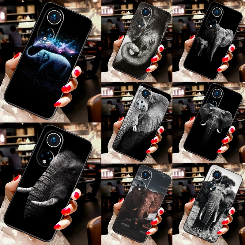 Wild Elephant Head … - image