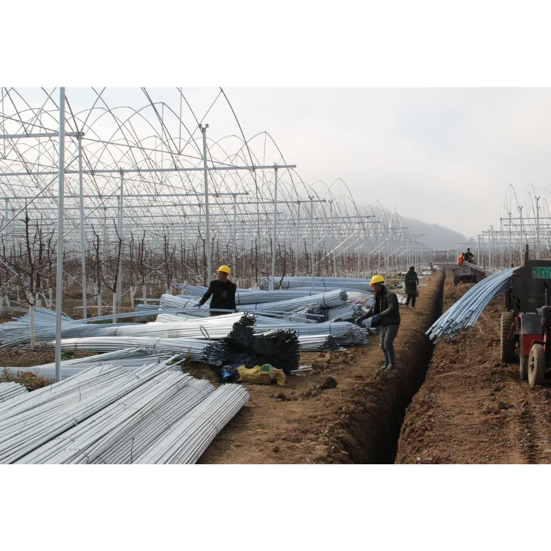 

Customized greenhouseGreenhouse Film/Greenhouse Covering/Agricultural Plastic Film Tunnel Horticultural Green House Farming Poly