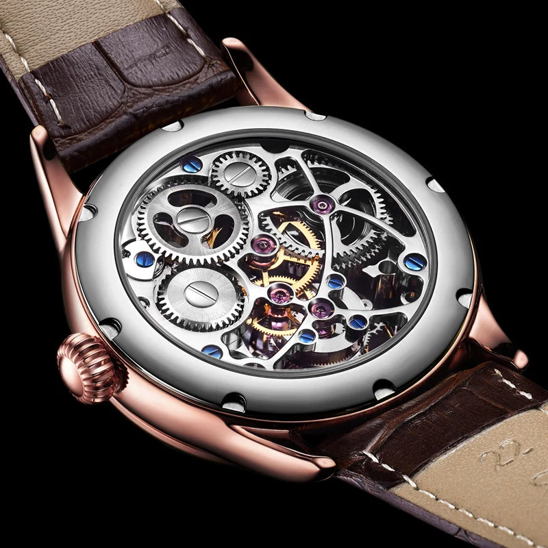 2025 AESOP Tourbillon Skeleton Watch For Men Mechanical Waterproof Mens Watches Top Brand Luxury Movement Leopard Eye Concept