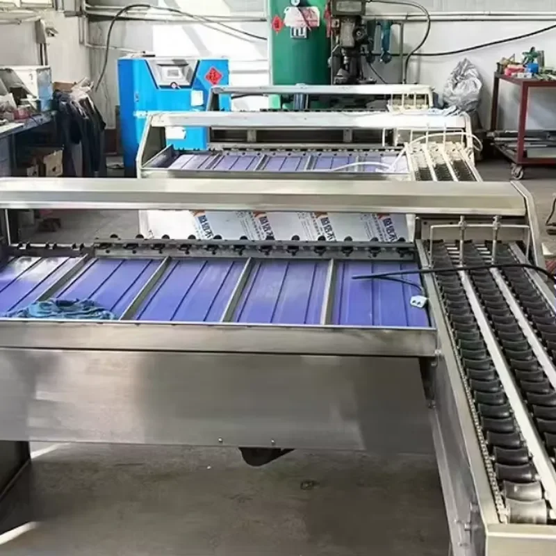 [2026] Sorter Grading Machine Grader Machine Production Line/ Weight Sorting Conveyor/5 Levels