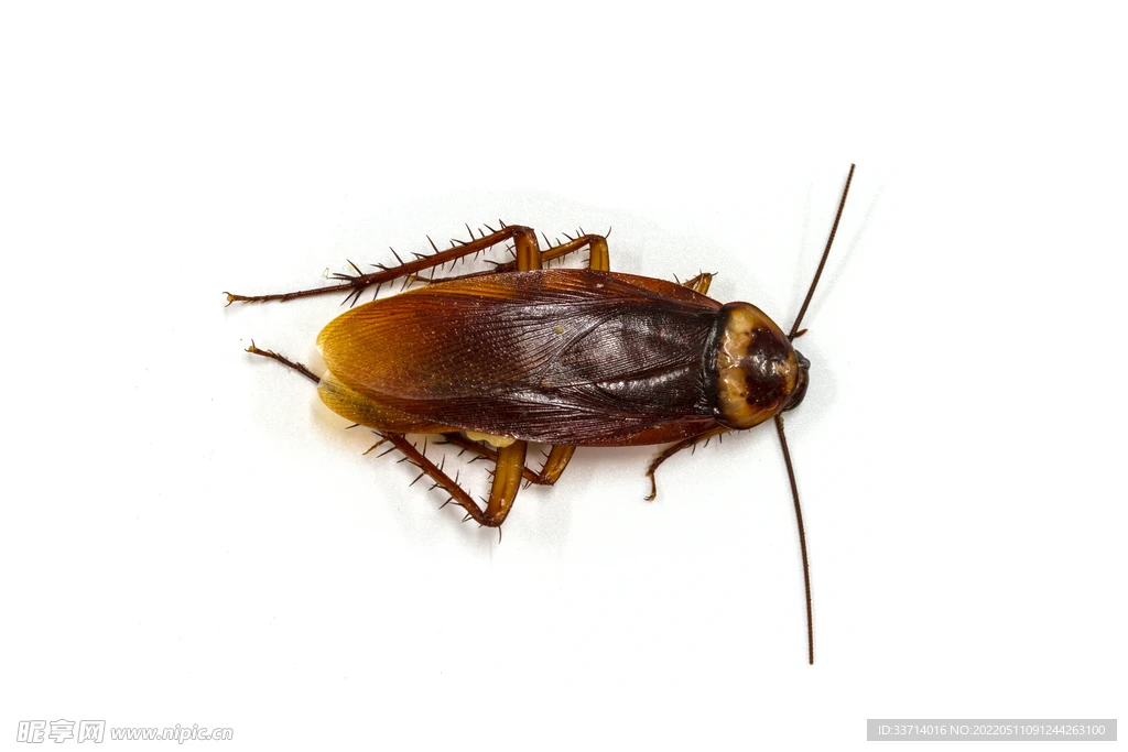 

2.2-дюймовый колесный диск с бедлоком для радиоуправляемых машин 1/8 масштаба Wraith 90018 90053 90048 Hammer Rey 4WD TRX-4 TRX-6 SCX10 D90