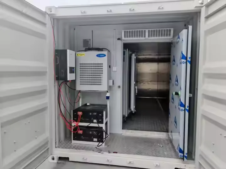 Congelatore di alta qualità per carne di pesce, conservazione frigorifera, stanza refrigerata, contenitore Reefer da 20 piedi 40 piedi con pannelli solari 220 V/380 V disponibile