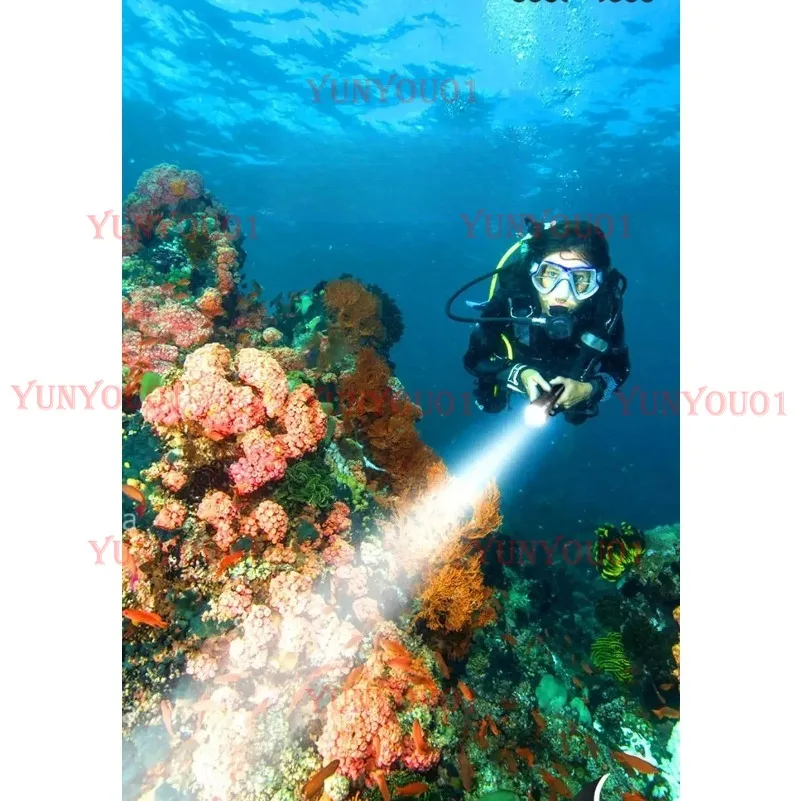 High Power White Light L2 Professional Deep Sea Underwater Lighting Diving Flashlight