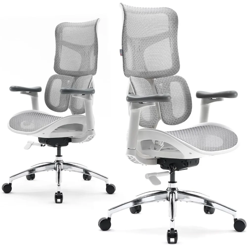 

Ergonomic Office Chair - with Dual Dynamic Lumbar Support, 5-Level Adjustable Backrest, 4D Coordinated Armrests, 135-degree Max