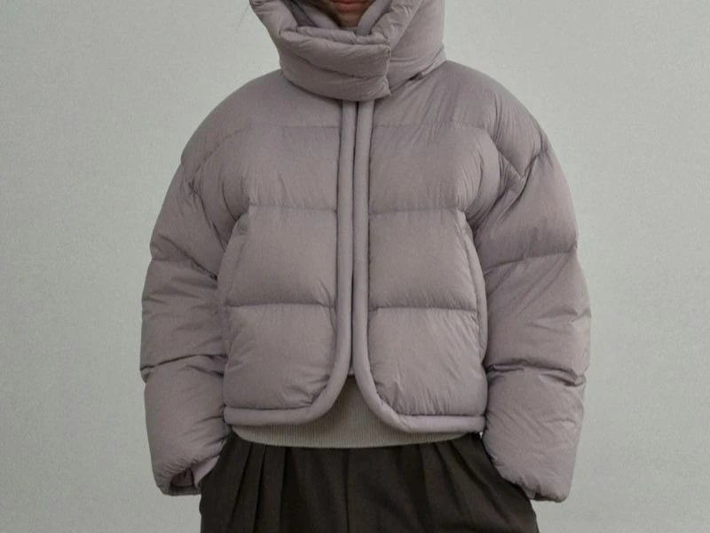 

Stand Collar Hooded Cotton Jacket for Women 2025 Winter Short New Loose Thickened Warm Puffer Coat