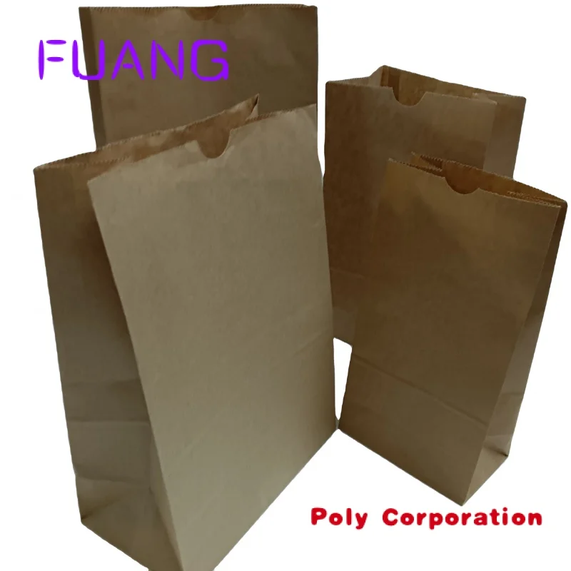 Custom  SP1041 Recyclable  disposal Biodegradable Eco Away Fast Food Bread Snack Takeout Takeaway Brown Kraft Paper Bag Packagin