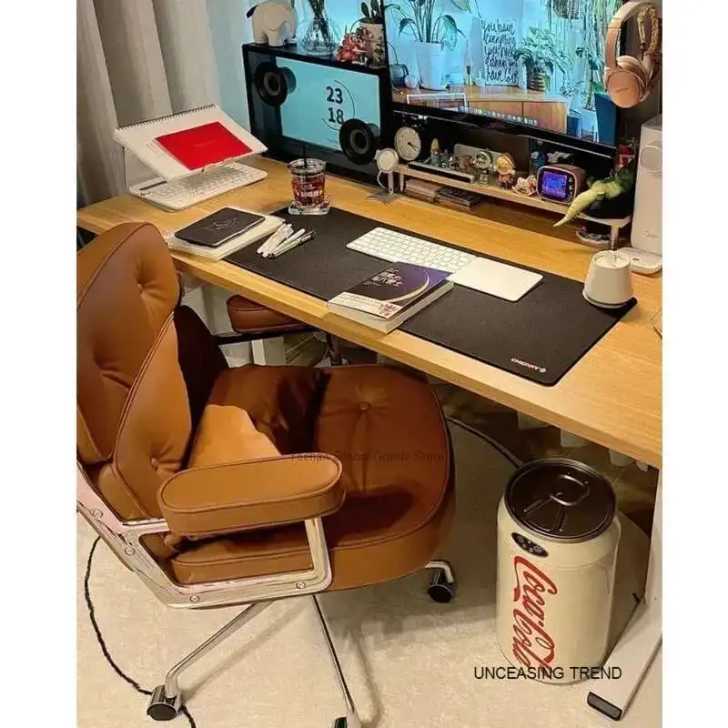 Simple Computer Chair, Comfortable Study Chair Suitable for Long-term Sitting, Girls Must Have Makeup Chair. Home Furniture