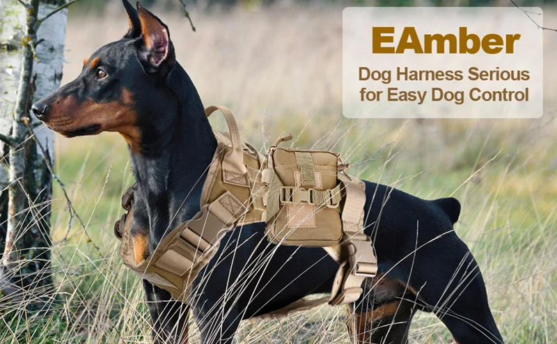 Taktische Militärweste für Haustiere, Outdoor-Trainingsweste, Hundegeschirr und Leine, Set mit Halsband für mittelgroße und große Hunde, Deutscher Schäferhund – Detail 5