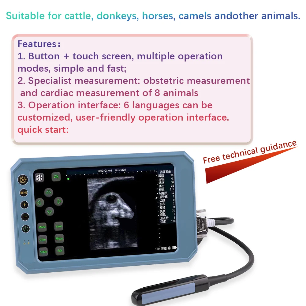 【only Probe】T6 Veterinary Ultrasound Scanner Probe Multiple Models of ultrasound probes For Ultrasound Scanner&Vet