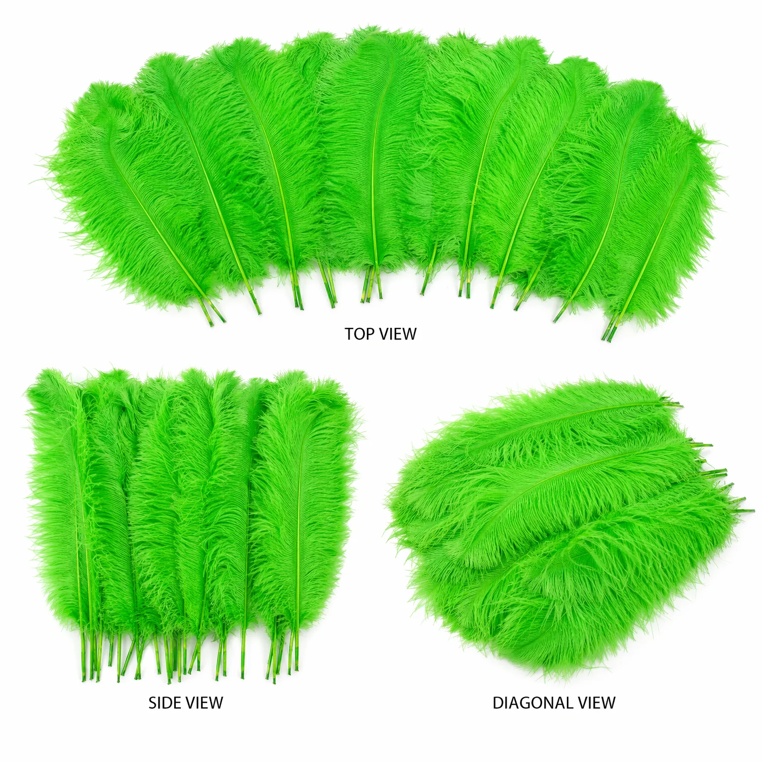 10 Stück Grüne Straußenfedern Premium Gefärbte Federn für Hochzeitsdekorationen Party-Deko & DIY-Projekte (15-60 cm)