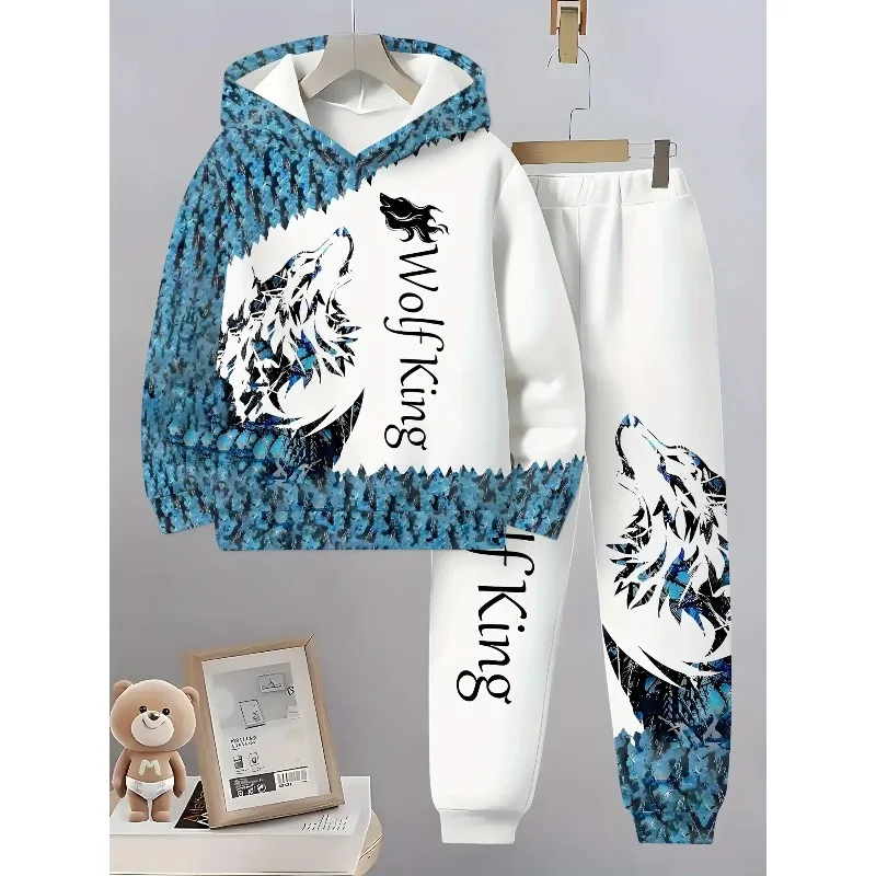 Рисунок 4 - 2025 комплект толстовки с капюшоном