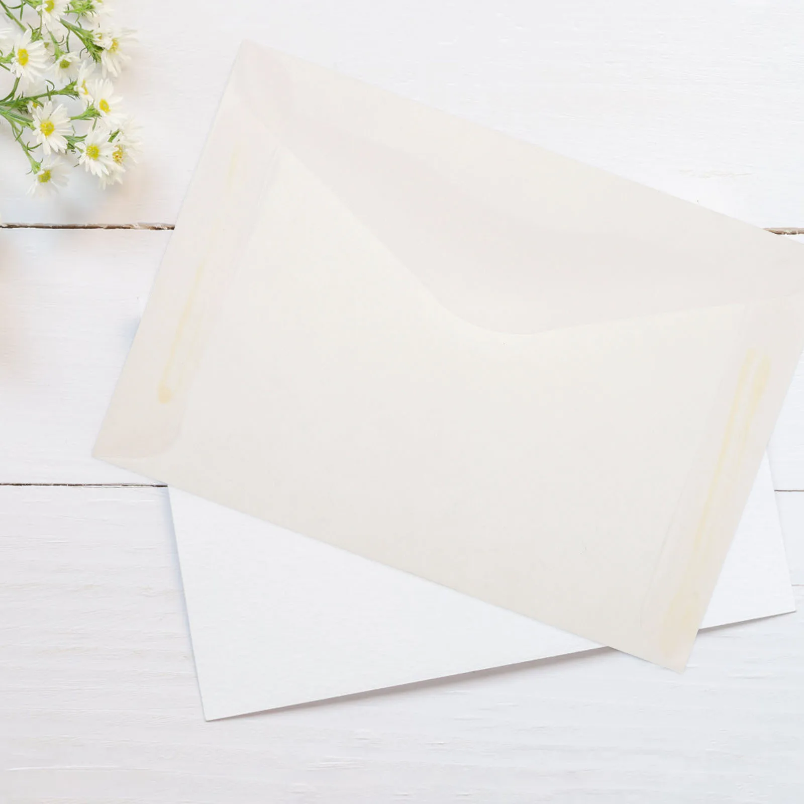 20Pcs Multipurpose Seed Envelopes Paper Bags for Organizing Storing Bags Seed Packet Organizer Envelopes