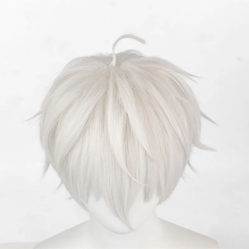 HANEROU Men Short Wig Synthetic Straight Wavy White Hair Wig Heat Resistant  Wig for Daily Anime Cosplay Party