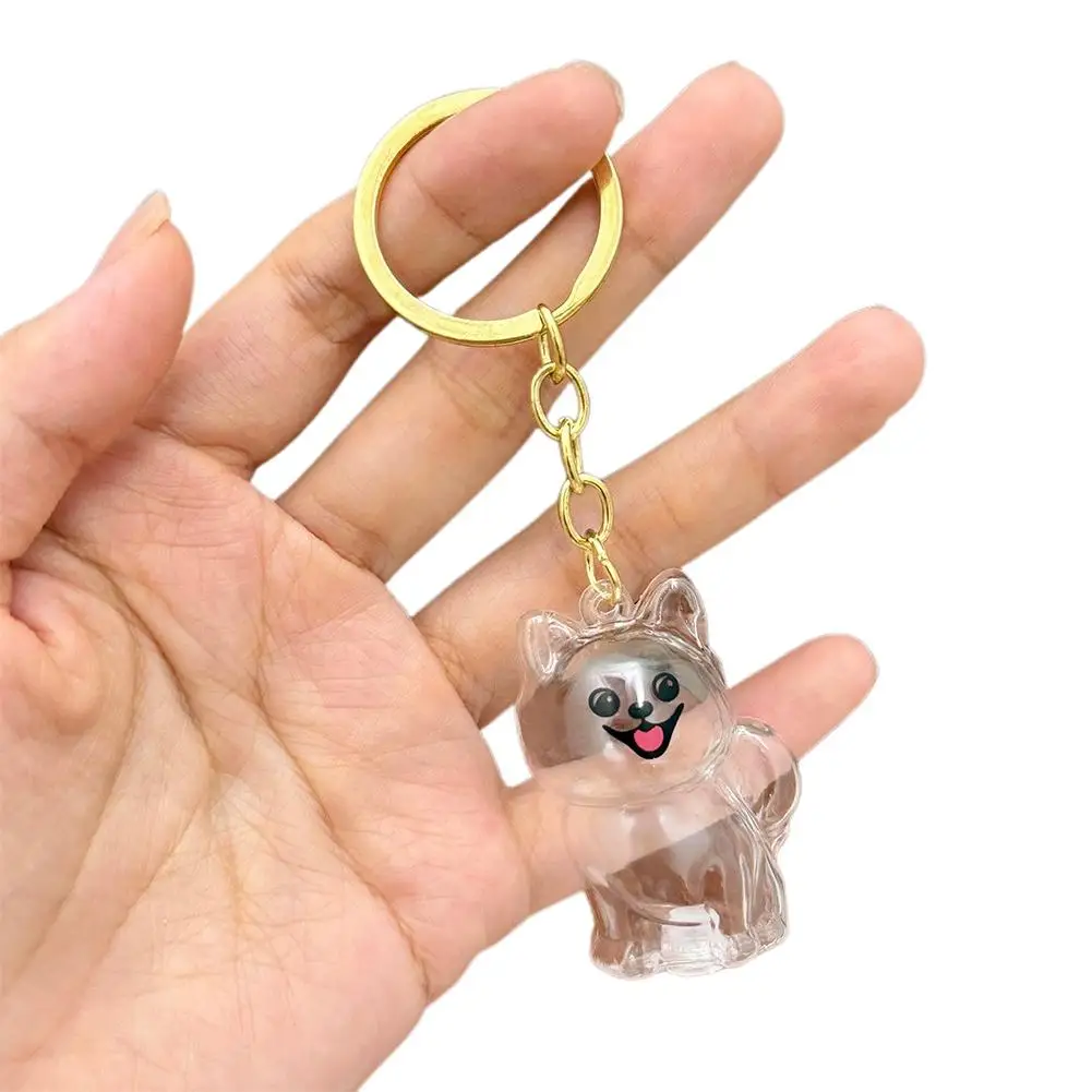 Aufbewahrungsbox für Hundehaare, Tierfellbehälter, Schlüsselanhänger, transparente Kapsel, Andenken, Gedenkgeschenk für Hunde, Trauermittelanhänger für den Verlust eines Haustiers – Detail 25