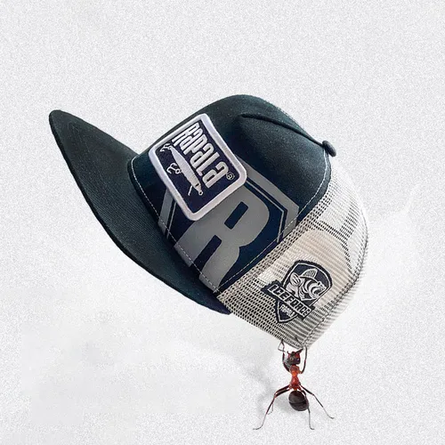 Imagen 2 del producto Sombrero de pesca de malla, gorra de béisbol transpirable, sombrilla para deportes al aire libre, gorra de pesca ajustable con protección solar de verano, bordado