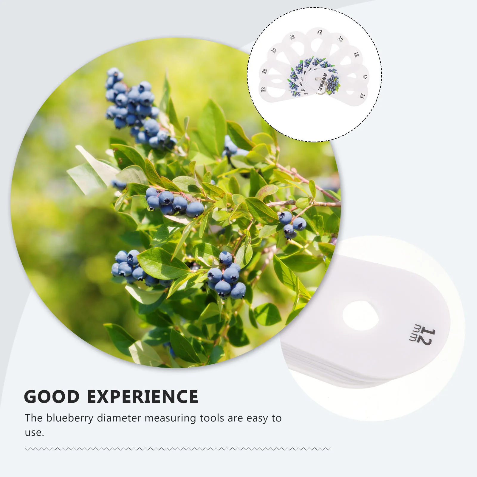 

1Set Blueberry Diameter Measuring Gauge Plastic Ruler Fruit Measuring Tool for Diameter Classification Sorting