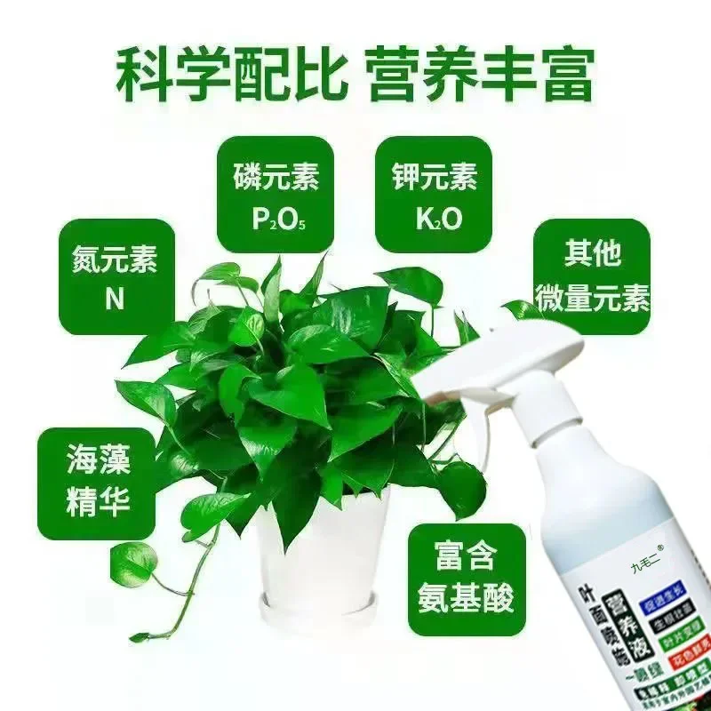 Chlorophyll Nutrient Solution Yellow Leaf Green Flowers Extended Flowering Period Succulent Root Strong Root Foliar Fertilizer