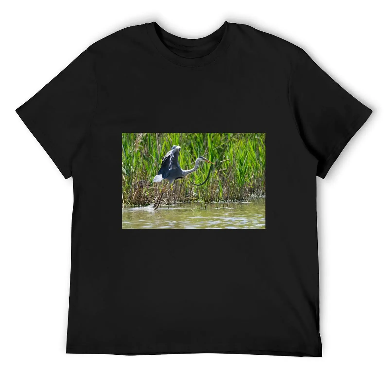 

A heron flies off with a snake, Oasi WWF Lago di Alviano, Umbria, Italy T-Shirt korean fashion blanks mens graphic t-shirts