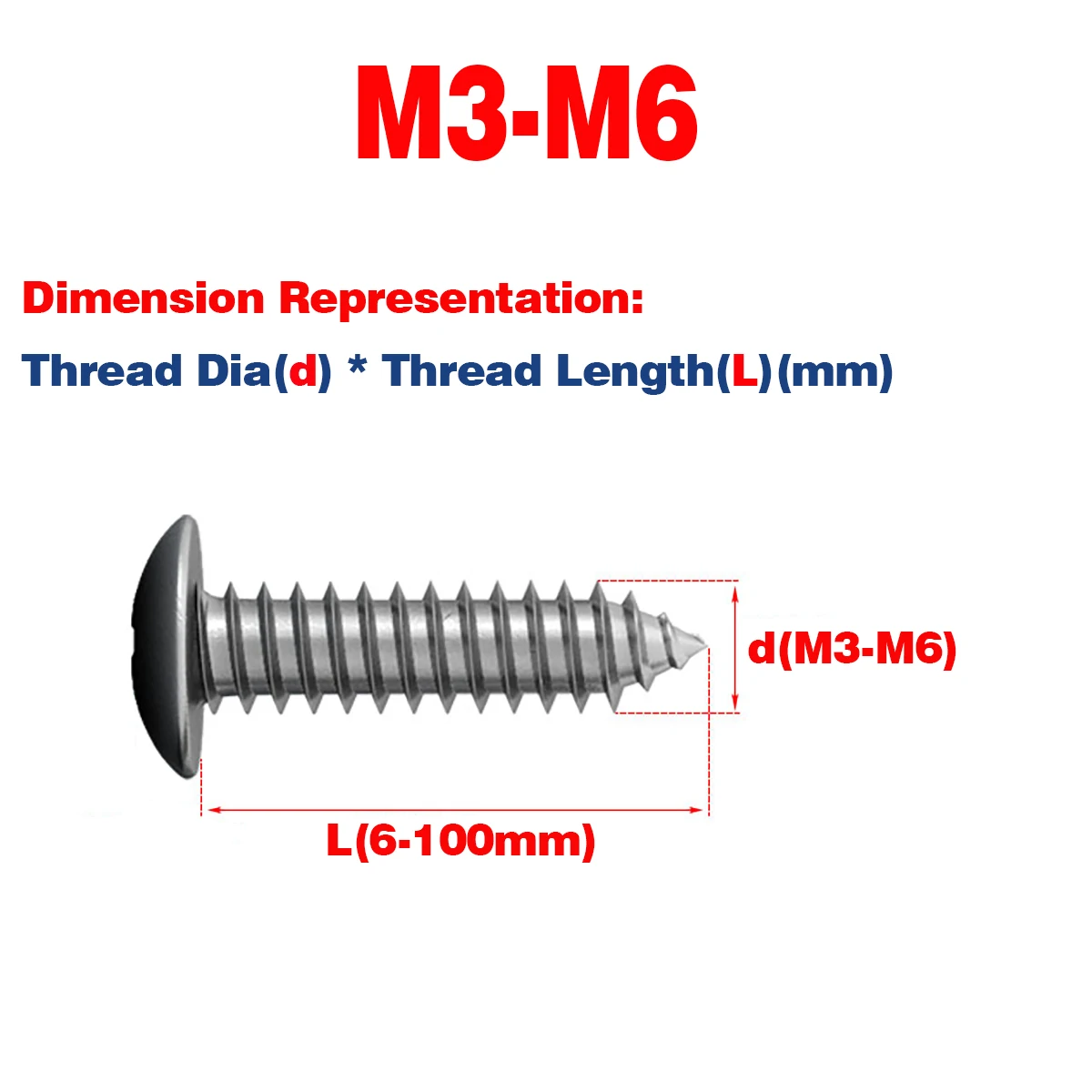 

316 / 304SS Umbrella Head Mushroom Head Self Tapping Screw Phillips Screw M3-M6