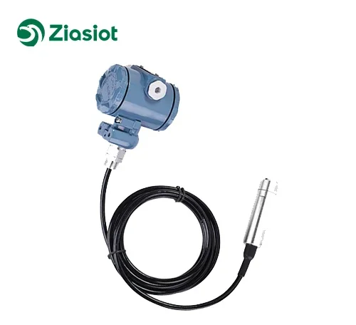 

PT220FE Factory Explosion Proof LCD display 4-20mA 0-10V RS485 Hart Submersible Water Level Sensor For Diesel tank Deep Well